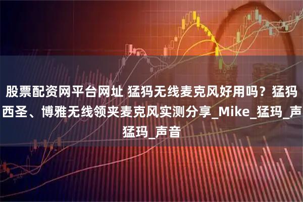 股票配资网平台网址 猛犸无线麦克风好用吗？猛犸、西圣、博雅无线领夹麦克风实测分享_Mike_猛玛_声音